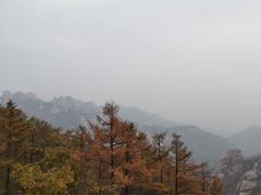 -崂山巨峰游览区