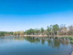 -东郊湿地公园