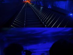 -白鹤梁水下博物馆