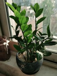 -茜茜美妍堂·华熙生物·甜朵体验中心