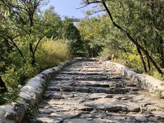 -阳台山自然风景区