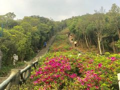 -梧桐山风景名胜区