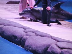 -华夏文旅海洋公园