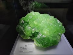 -湖南省地质博物馆