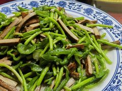 -小尹土菜