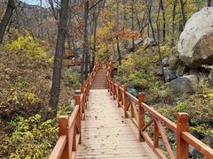 -大岭沟猕猴桃谷风景区