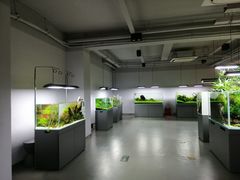 -ADA自然水景世界