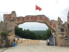 -茅兰沟国家森林公园