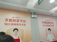 -天鹅到家·保姆月嫂育儿嫂(朝阳店)