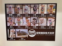 -逗柴咖啡屋·狗咖猫咖宠物桌游