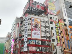 -秋叶原电器街