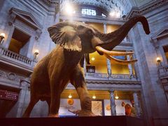 -国家自然博物馆