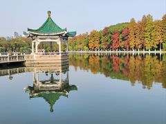 -东湖生态旅游风景区