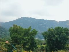 -牛鱼嘴原始生态风景区