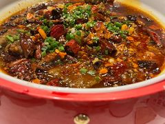 -金鼎轩(亚运村店)