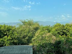 -大象粑粑造纸公园