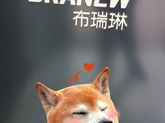 -布瑞琳洗衣(新城国际一期店)