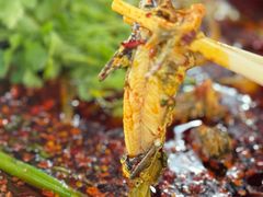 -陈胖子鱼庄(黄辣丁新津店)