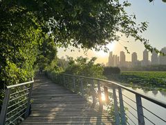 -月湖风景区
