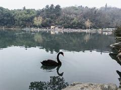 -南京珍珠泉风景区