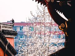 -长春观