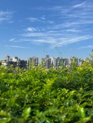 -祥馨月子会所(莞城店)