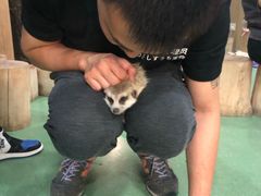 -藦茜花园宠物主题亲子互动体验馆(国顺东路店)