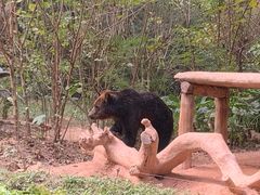 -广州长隆野生动物世界