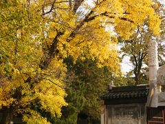 -苏州文庙(姑苏区)