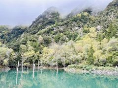 -叠溪松坪沟景区