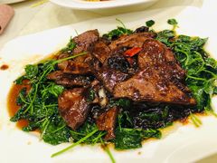 -梅龙镇酒家(南京西路总店)