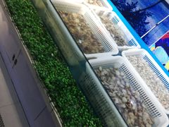 -兆丰海鲜烧烤涮自助(丰南总店)