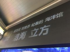 -成都浩海立方海洋公园