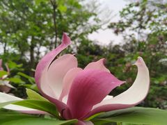 -水濂山水库景点停车场