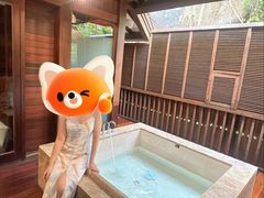-三亚亚龙湾人间天堂鸟巢度假村