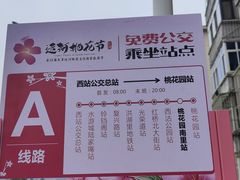 -桃花堤公园