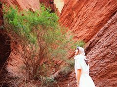 -天山神秘大峡谷