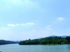 -佛手湖郊野公园