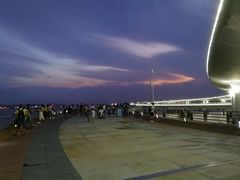 -演武大桥观景平台