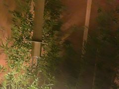 -初蓉丨遇见新川菜(亲贤街荣耀店)