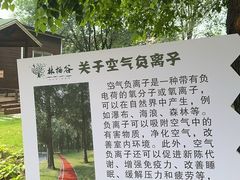-林栖谷森林康养度假区