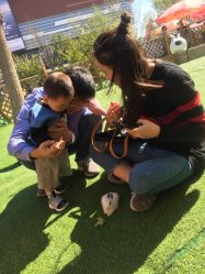 -萌宠亲子动物乐园(槐房万达店)