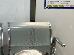 -四月宠物医院·猫专科·心脏专科·内科(转塘店)