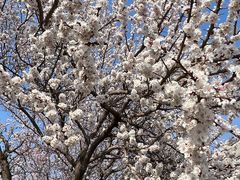 -吉林大学(南岭校区)