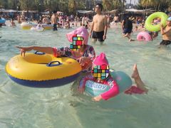 -重庆海昌加勒比海水世界