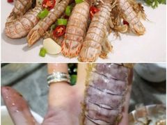 -白沙门生态公园