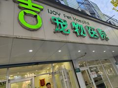 -艾吉宠物医院·疑难杂症转诊中心·猫友好(碧江路院)