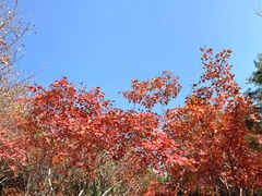 -北宫国家森林公园