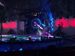 -灵玲国际马戏城