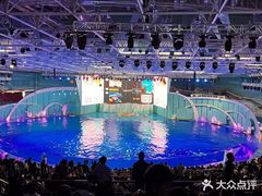 -海合安青岛极地海洋公园